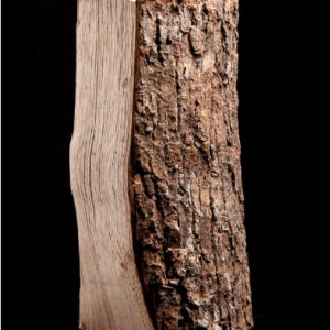 DEMI PALETTE – FRÊNE SÉCHÉ AU FOUR – 25CM – Image 3