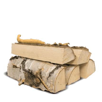 Brennholz Birke 25 cm 1 RM 500 kg Heizwert: ≥ 4,2 kWh/kg Asche: ≤ 0,5% Heizwert: ≥ 4,2 kWh/kg Asche: ≤ 0,5%